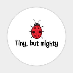 Ladybug | Tiny, But Mighty Magnet